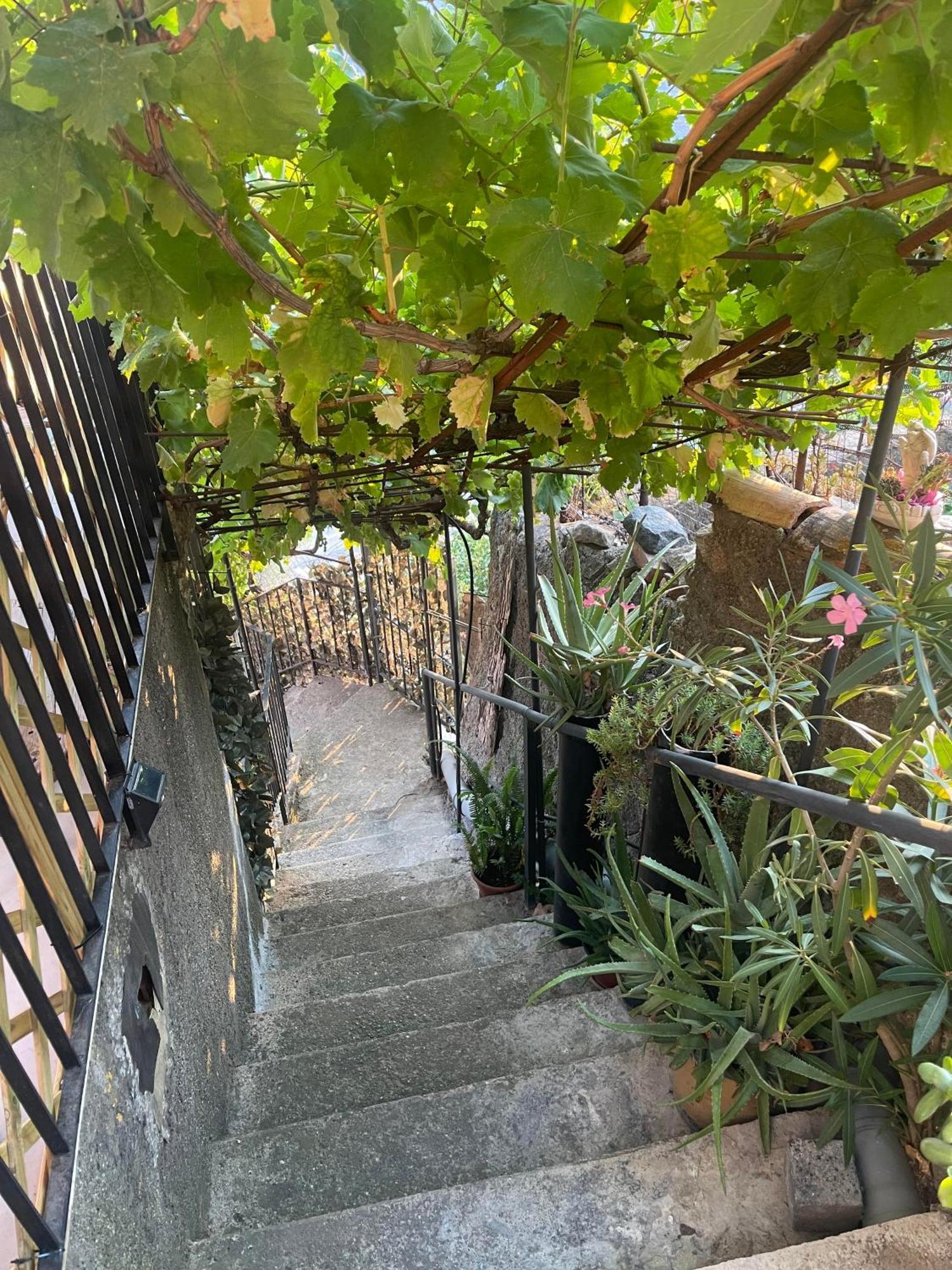 The Secret Garden Villa Forza dʼAgro Eksteriør billede